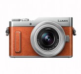 دوربین عکاسی دیجیتال پاناسونیک Lumix DC-GF10