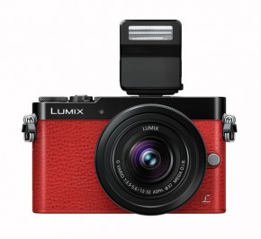 دوربین عکاسی دیجیتال پاناسونیک Lumix DMC-GM5