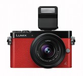 دوربین عکاسی دیجیتال پاناسونیک Lumix DMC-GM5