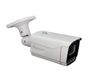 دوربین مداربسته IP بولت رایمون 8312
