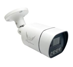 دوربین مداربسته IP بولت رایمون 60Q