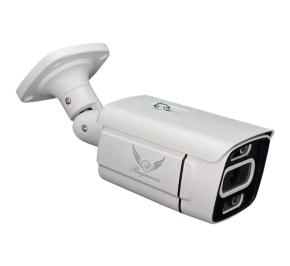 دوربین مداربسته IP بولت رایمون 8302