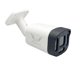 دوربین مداربسته IP بولت رایمون 8313