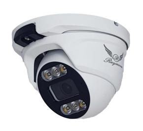 دوربین مداربسته AHD دام رایمون H52