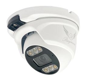 دوربین مداربسته IP دام رایمون H52