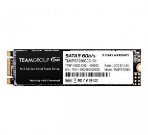 حافظه اس اس دی تیم گروپ MS30 256GB M.2