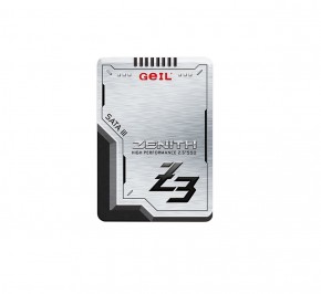 حافظه اس اس دی گیل Zenith Z3 256GB