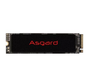 حافظه اس اس دی آسگارد AN2 500GB M.2