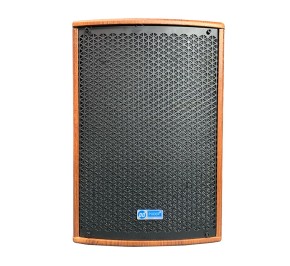 اسپیکر بلوتوث قابل حمل پودر PD-1010