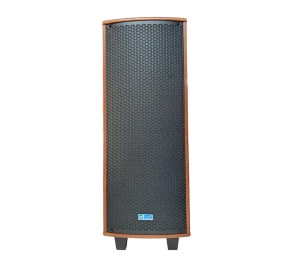 اسپیکر بلوتوث پودر PD-1020