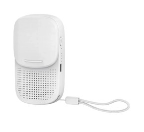اسپیکر بلوتوث رسی RSK-W27