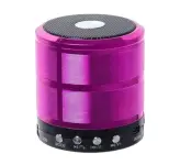 اسپیکر بلوتوث WS-887