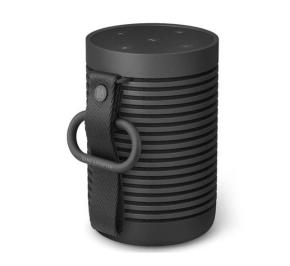 اسپیکر بلوتوث بنگ اند آلفسن BeoSound Explore