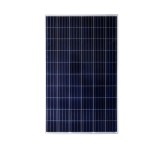 پنل خورشیدی پلی کریستال ینگلی سولار JS 200 200W