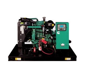 دیزل ژنراتور کامینز X1.3 C10D5P 10KVA