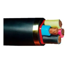 کابل برق افشان خراسان افشار نژاد 50+95*3