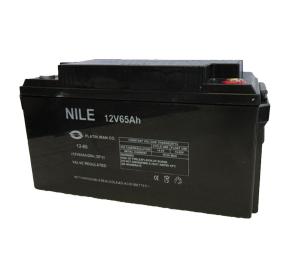 باتری سیلد اسید نیل Nile 12V 65A