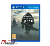 بازی Shadow of the Colossus مخصوص پلی استیشن 4