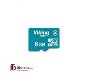 کارت حافظه میکرو SD وایکینگ من Class 4 4GB