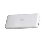 پاور بانک راک P83 10000mAh