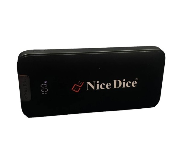 پاور بانک دایس PB124 10000mAh