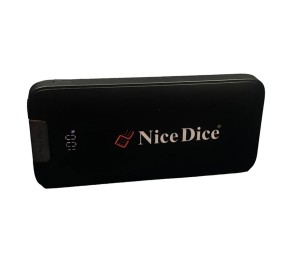 پاور بانک دایس PB124 10000mAh