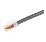 پچ کورد شبکه سیستی مکس CAT6 UTP 2m