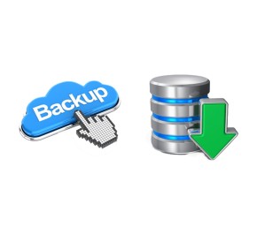 نصب و راه اندازی Backup Solution